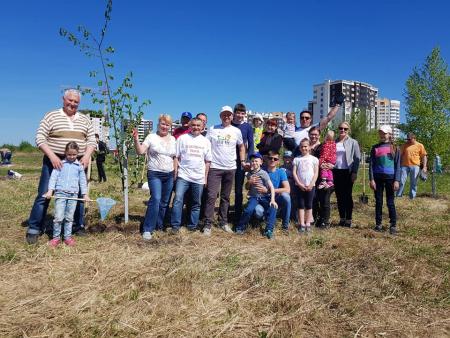 Акция "Лес Победы" в Коломне