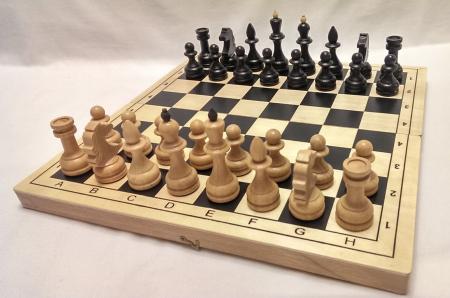 Открытый фестиваль Коломенского городского округа по шахматам «Коломенская верста-2018» пройдёт с 13 по 19 октября в КЦ «Коломна»