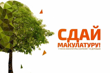 Экомарафон «Сдай макулатуру – спаси дерево!» стартует в Подмосковье 22 октября