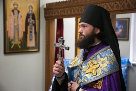 Поздравление благочинного церквей города Коломны и Коломенского округа епископа Луховицкого Петра с праздником Крещения Господня