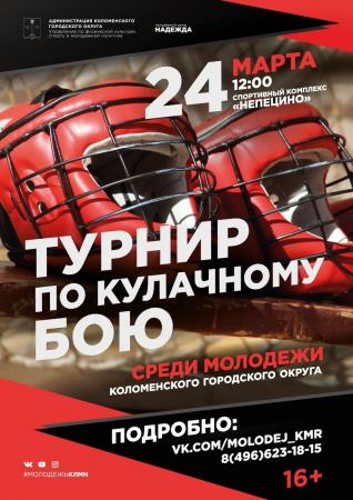 Турнир по кулачному бою