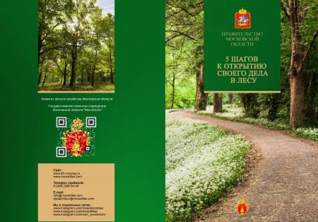 5 шагов к открытию своего дела в лесу