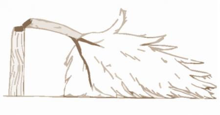 За аварийными деревьями должна следить управляющая компания