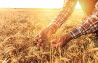 Конкурс по предоставлению грантов на поддержку начинающих фермеров