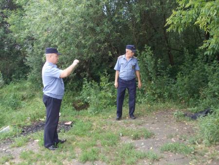 30 кубометров мусора убрано с берегов водоемов городского округа Озеры при помощи Госадмтехнадзора