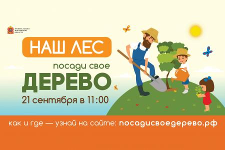 Центральной площадкой акции «Наш лес. Посади свое дерево» станет поселок Биорки