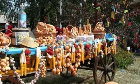 Информация о свободных местах проведения ярмарок в ноябре 2019 г. на территории Коломенского г.о.