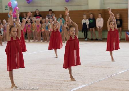 Коломенские гимнастки достойно представили округ на домашних соревнованиях