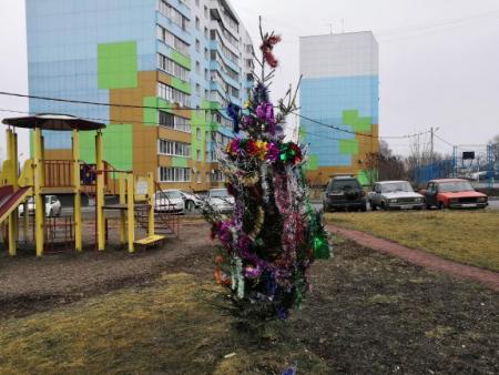 Специалисты ООО «ДГХ» начали устанавливать в коломенских дворах новогодние ели