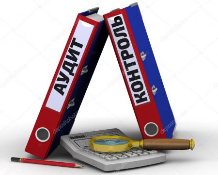 Определены основания и порядок организации, передачи полномочий по осуществлению внутреннего финансового аудита