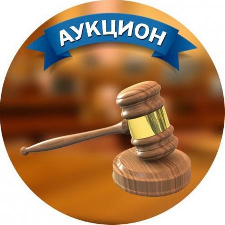 Возобновление приема заявок для участия в Аукционе нп право размещения сезонных НТО