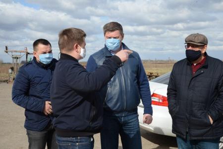 Тепличные хозяйства Коломенского г.о. готовы приступить к продаже рассады огородных и садовых культур