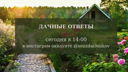 Очередной эфир «Цифровых СНТ Подмосковья» посвятят ответам на вопросы дачников