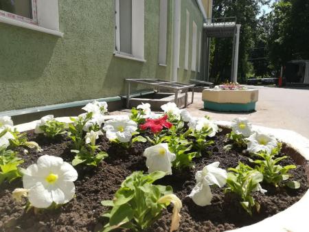 В Коломенской ЦРБ появится аллея, посвященная подвигу медиков в годы Великой Отечественной войны