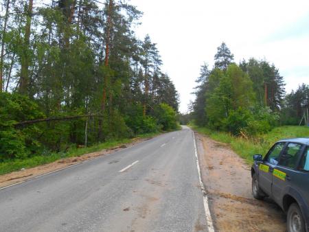 В песковском лесничестве устраняют последствия ураганов