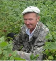 Коломенцев просят оказать помощь в поиске пропавших без вести