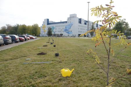 Коломенские полицейские присоединились к акции «Наш лес. Посади свое дерево»