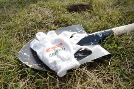 Сотрудники редакции газеты «Коломенская правда» присоединились к акции «Наш лес. Посади свое дерево»