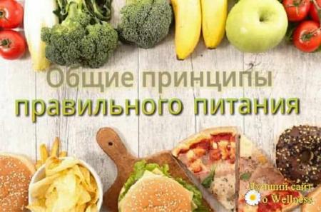 Обучающие (просветительские) программы по вопросам здорового питания для различных групп населения