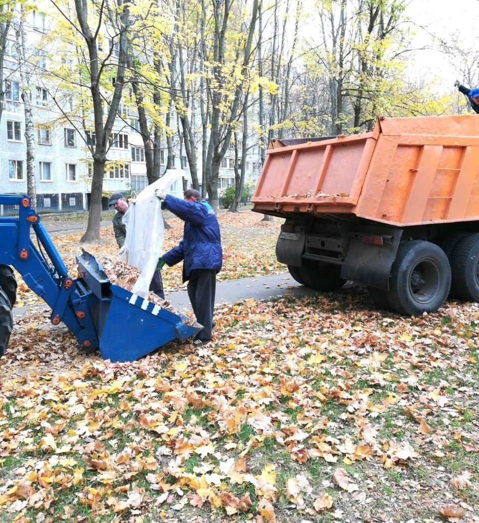 Департамент городского хозяйства приступил к вывозу осенних растительных  остатков » Администрация Городского округа Коломна Московской области