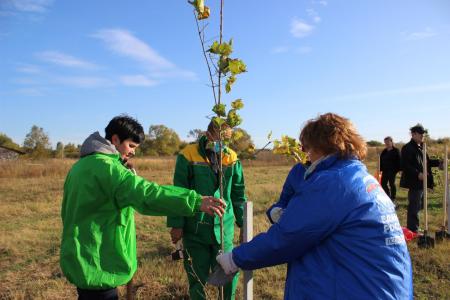 В селе Пирочи высадили две аллеи в рамках акции «Наш Лес. Посади свое дерево»