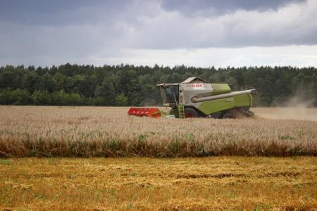 В Коломне завершается уборочная кампания