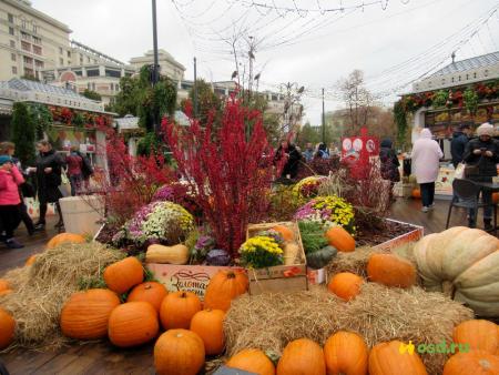 Коломенские сельхозпроизводители успешно выступили на главном аграрном форуме страны