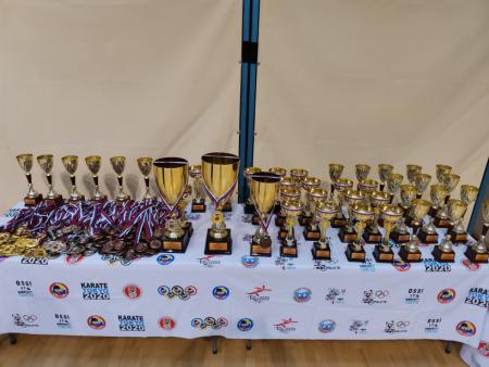 Коломенские каратисты привезли медали из Мытищ