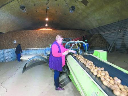 Более 40 крестьянско-фермерских хозяйств работают в Коломенском городском округе