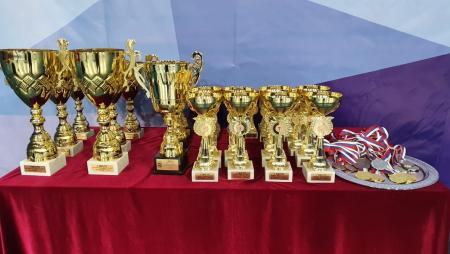 Коломенцы стали победителями открытого кубка по каратэ