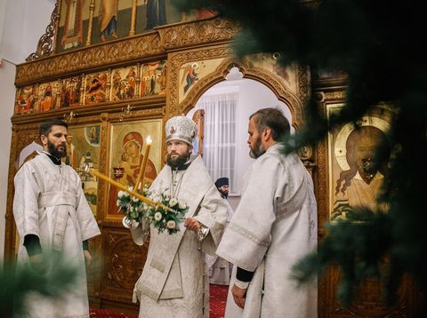Епископ Луховицкий Петр поздравил коломенцев с Рождеством Христовым
