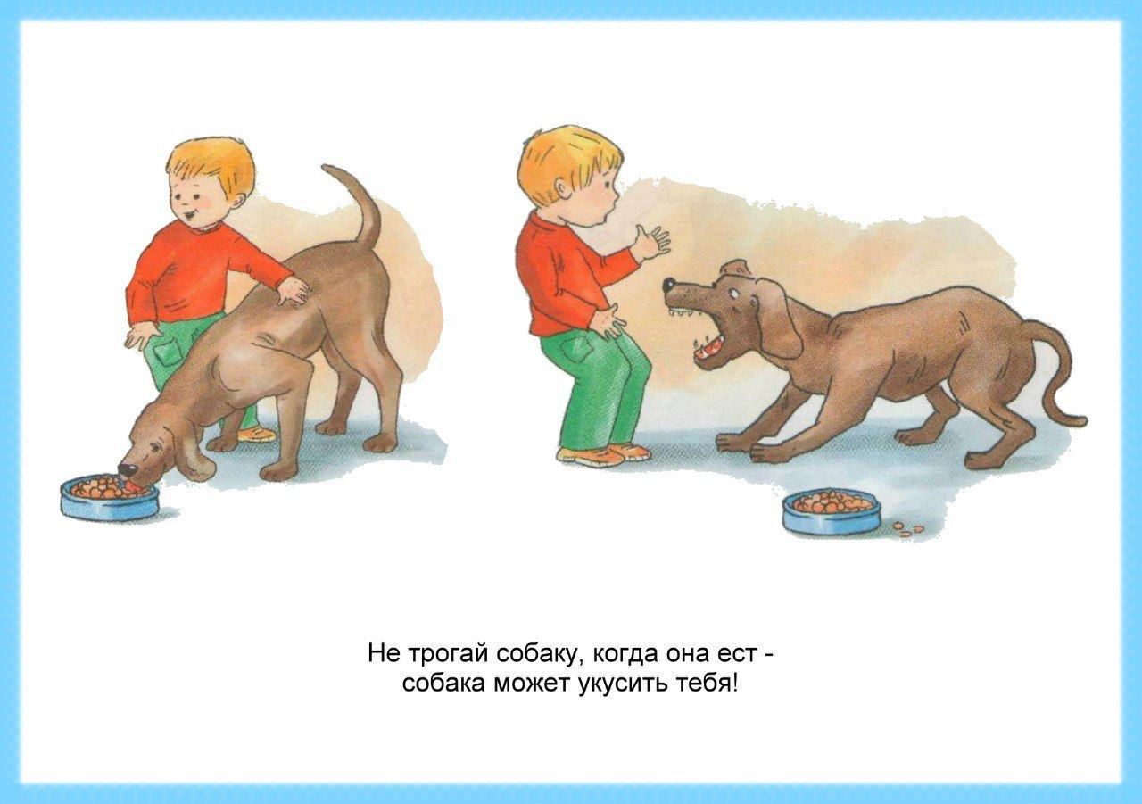 Мальчик подошел к собаке. Безопасность детей с животными. Правила поведения с животными. Правила поведения с животными для детей. Поведение с домашними животными.