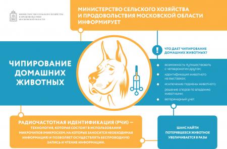 Информационные материалы