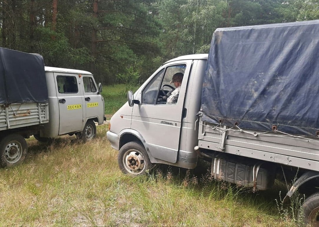 Жители Озёр помогли лесничим задержать нарушителей по горячим следам »  Администрация Городского округа Коломна Московской области