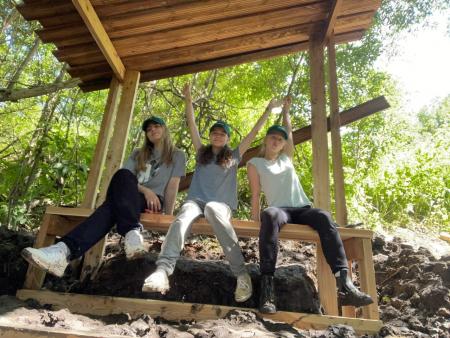 Главный архитектор Московской области оценила работы участников фестиваля «Древолюция»