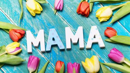 Поздравление главы Городского округа Коломна Александра Гречищева с Днём матери