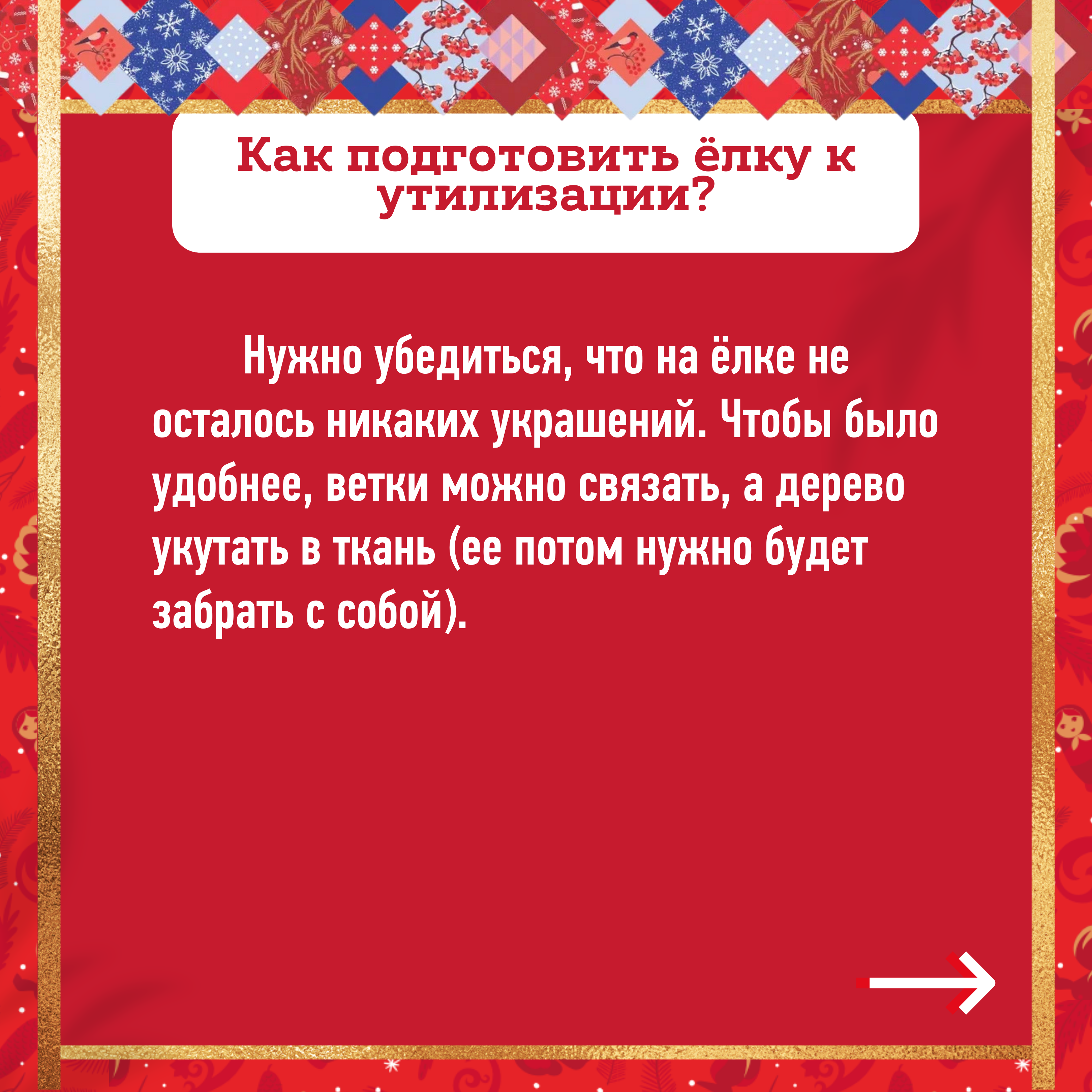 Где в Городском округе Коломна можно сдать новогоднюю ёлку и почему это  важно? | 10.01.2022 | Коломна - БезФормата