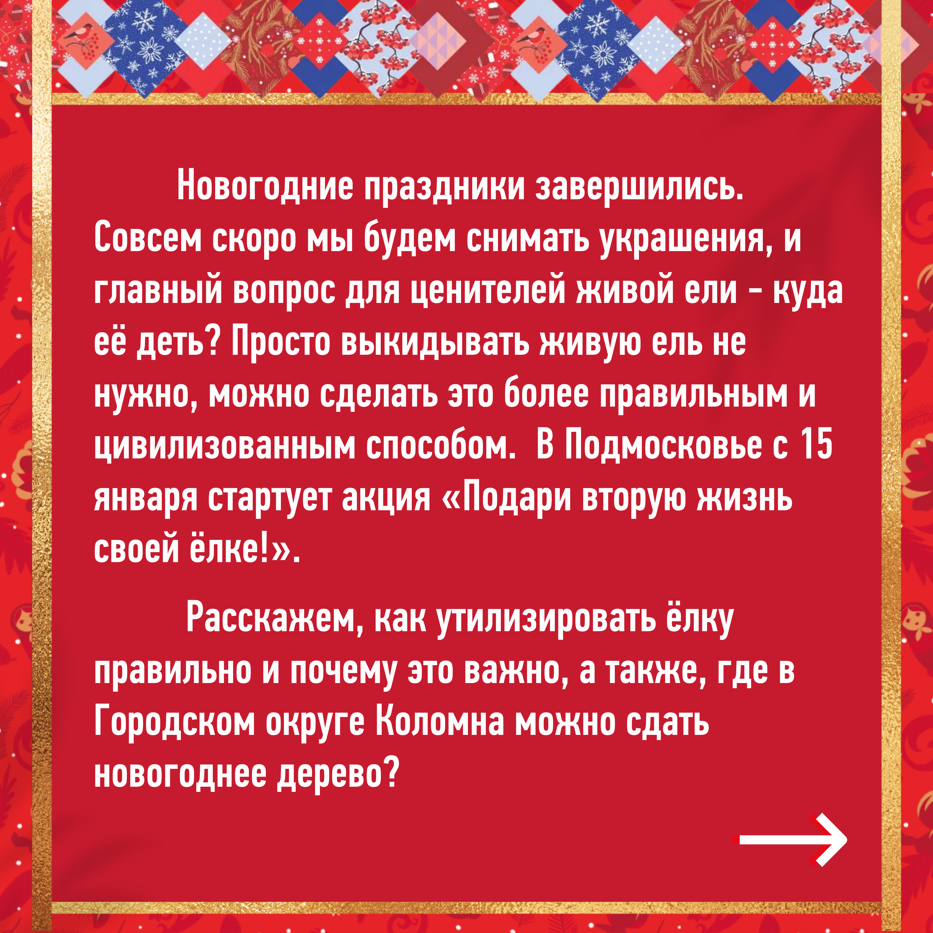 Где в Городском округе Коломна можно сдать новогоднюю ёлку и почему это  важно? | 10.01.2022 | Коломна - БезФормата