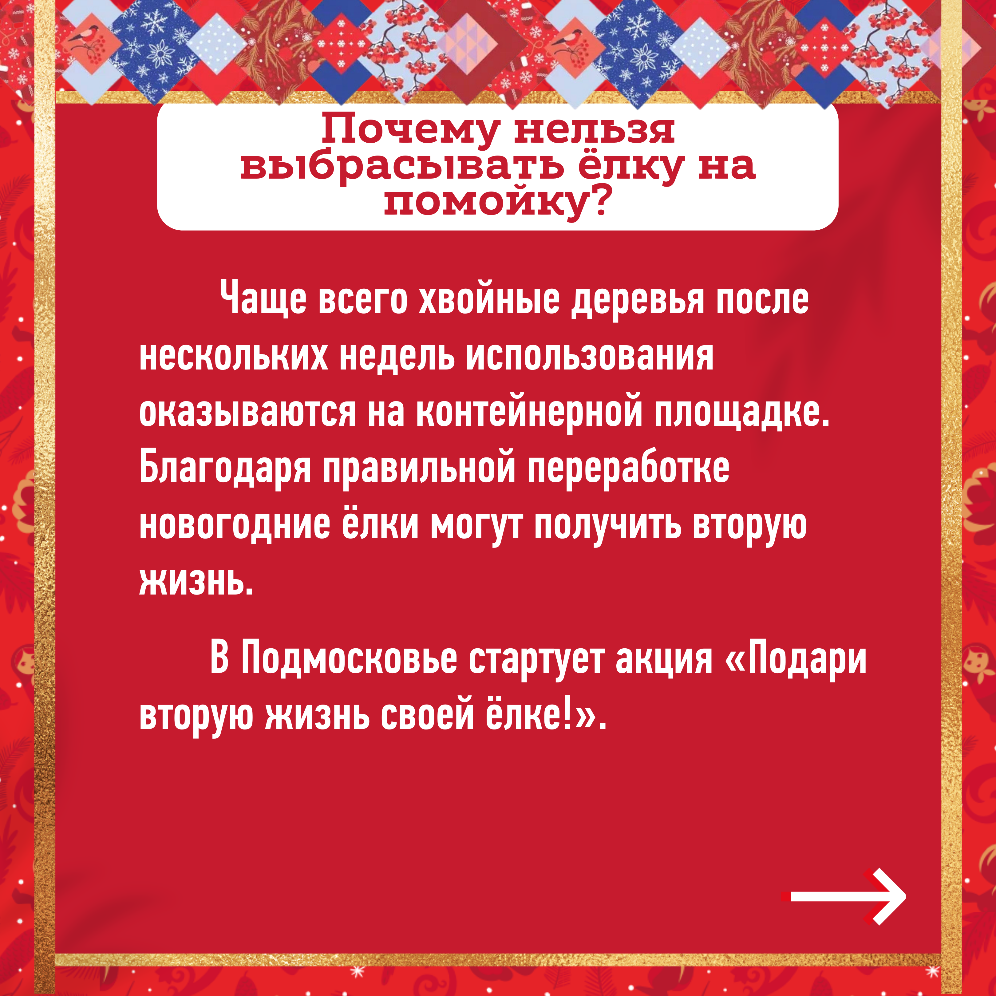 Где в Городском округе Коломна можно сдать новогоднюю ёлку и почему это  важно? | 10.01.2022 | Коломна - БезФормата