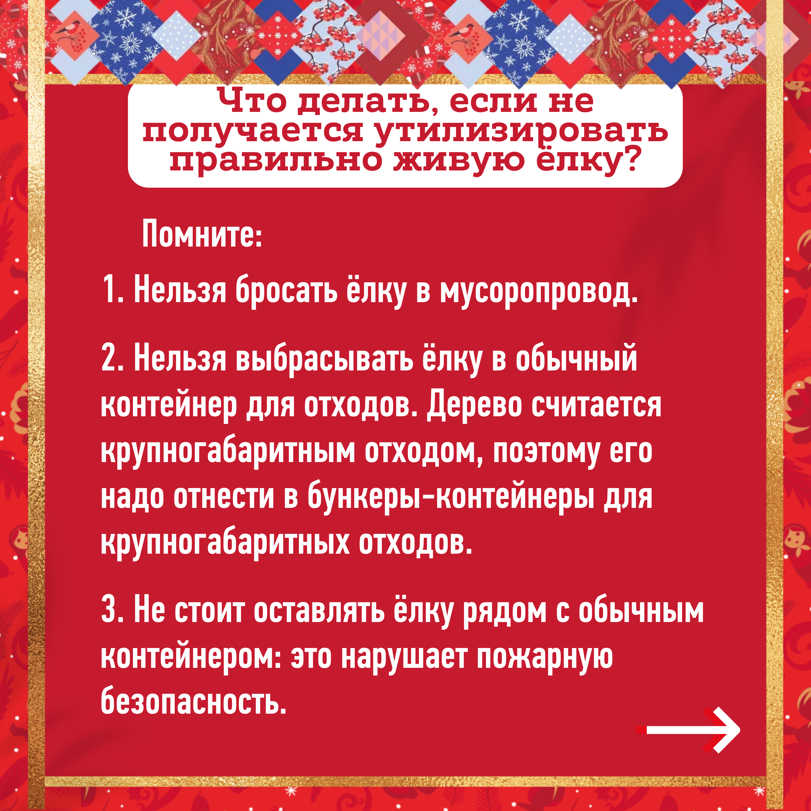 Где в Городском округе Коломна можно сдать новогоднюю ёлку и почему это  важно? | 10.01.2022 | Коломна - БезФормата