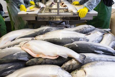 Под реализацию масштабного инвестиционного проекта подмосковной компании предоставлены 3 земельных участка