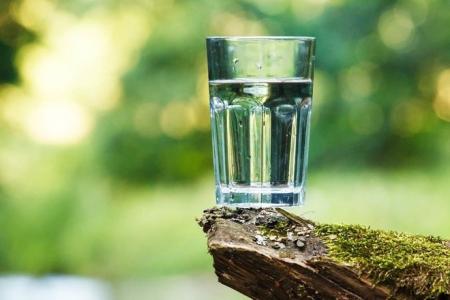 На портале &laquo;Добродел&raquo; завершается голосование по выбору родников для благоустройства