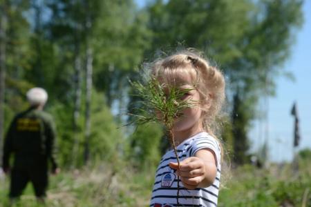 Акция &laquo;Лес Победы&raquo; пройдёт в Городском округе Коломна уже в эту субботу