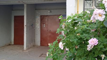 На пороге дома: В Коломне идёт проверка качества содержания дворов