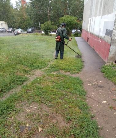 Палисадники возле многоквартирных домов порой становятся камнем преткновения в отношениях косарей ООО «ДГХ» и жителей