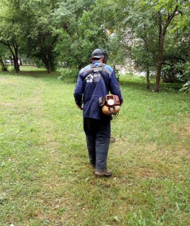 Коломенцы забирают скошенную во дворах траву в качестве сена для дачных нужд