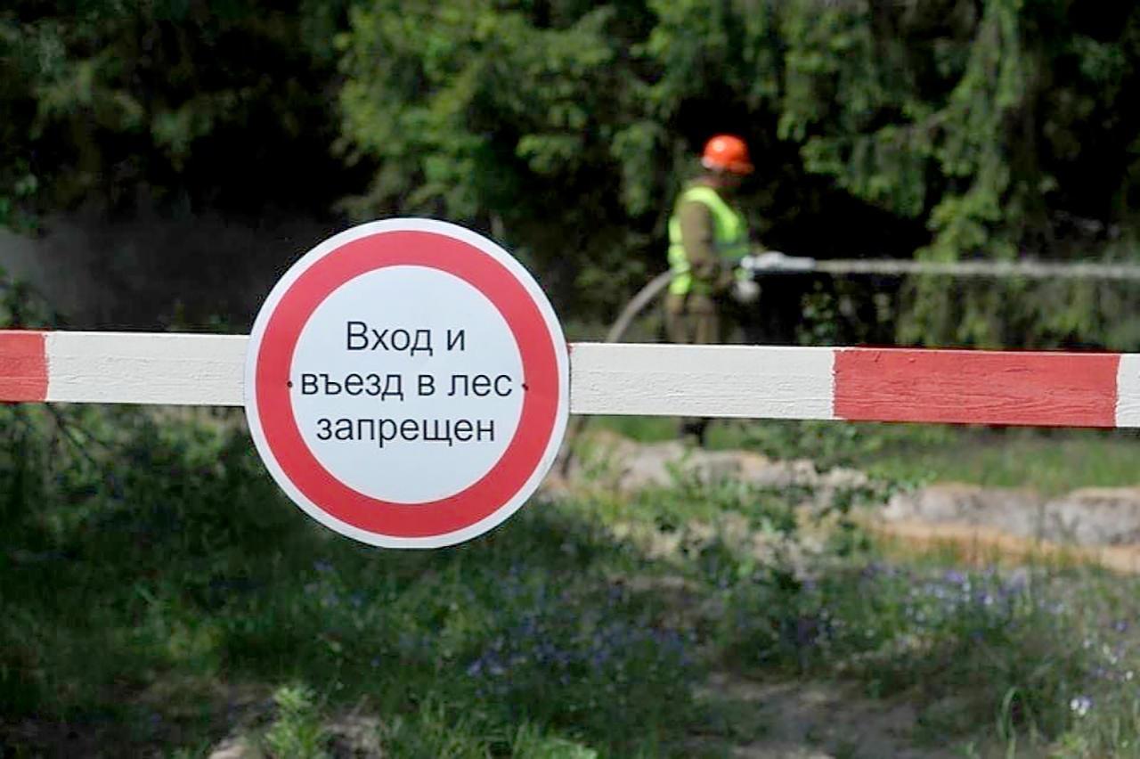 Походы в лес в Городском округ Коломна ограничат до 21 августа