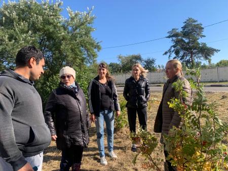 На радость всему дому: в озёрском дворе высадили новые деревья