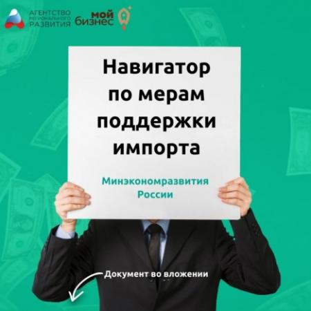 Навигатор по мерам поддержки импорта