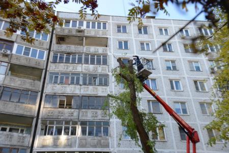 Департамент городского хозяйства приступил к сезонной обрезке деревьев